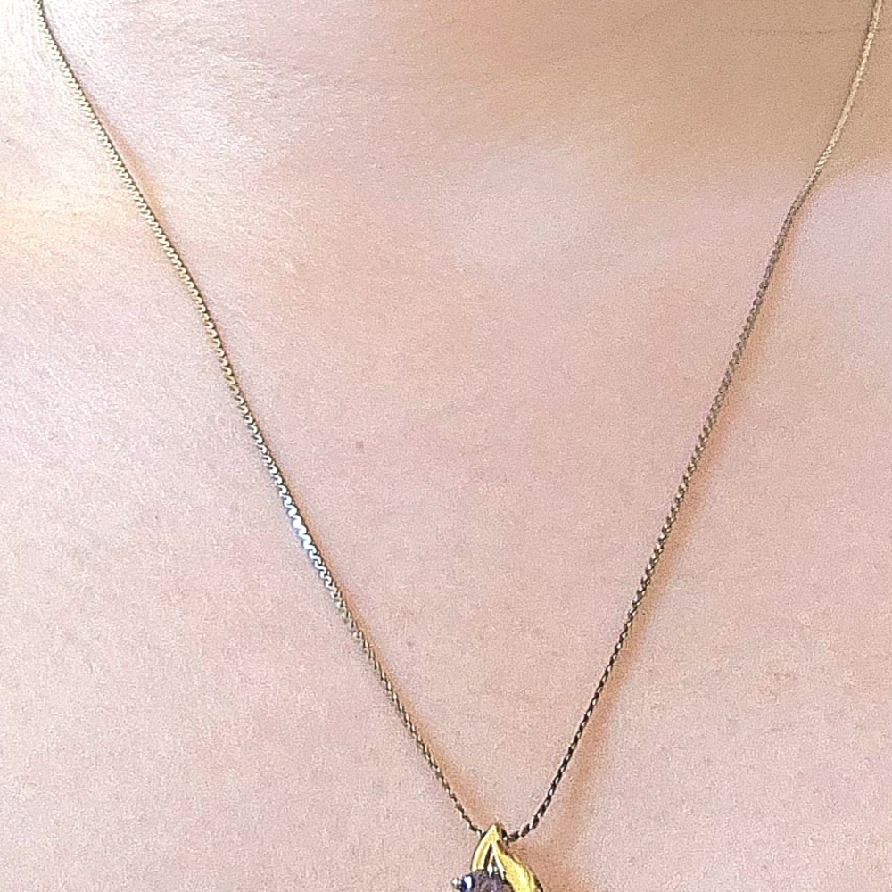 Elegant Gold and Silver Necklace